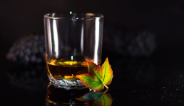 Whiskyglas.nu logotyp